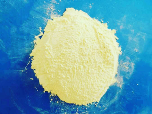 小蝌蚪视频免费下载铈